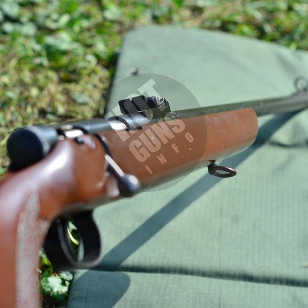 Вогнепальна зброя - Нарізна — ТОЗ-8 — Дошка оголошень про зброю hotguns ...